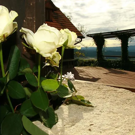 Apartmaji Zolnir 公寓 科斯塔涅维察