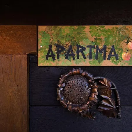 Apartmaji Zolnir 科斯塔涅维察