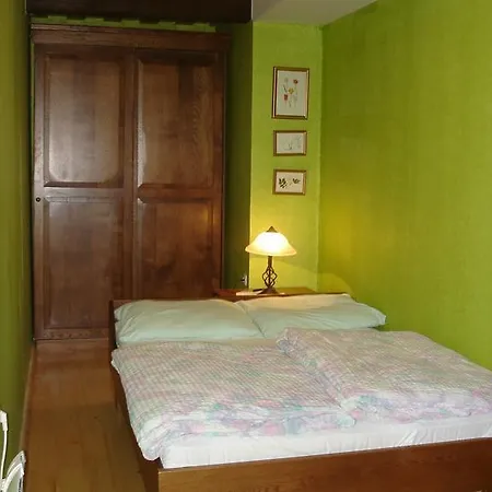 Apartmaji Zolnir *