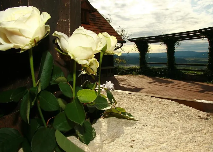 Apartmaji Zolnir Apartamento Kostanjevica na Krki